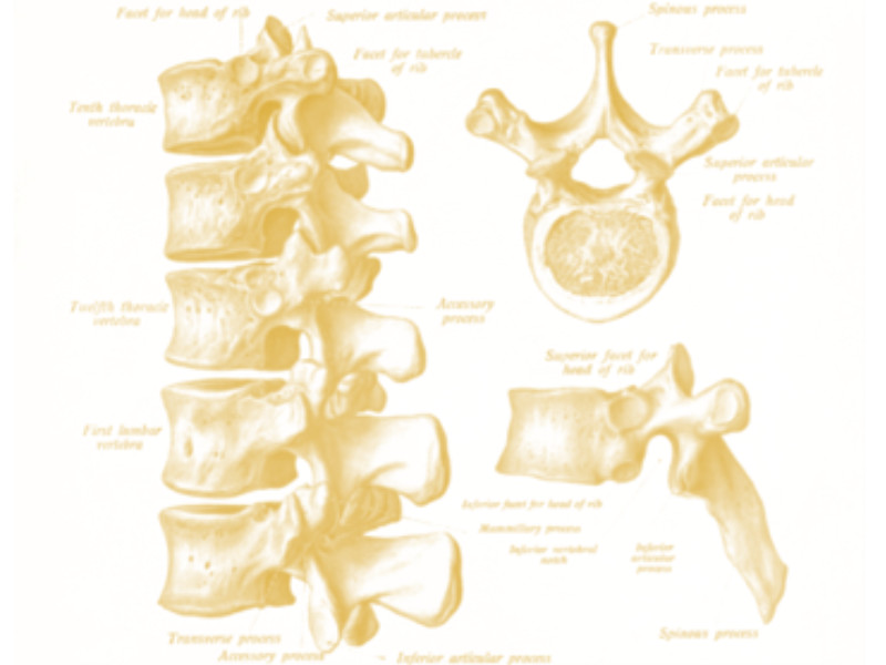 lumbar spine surgery